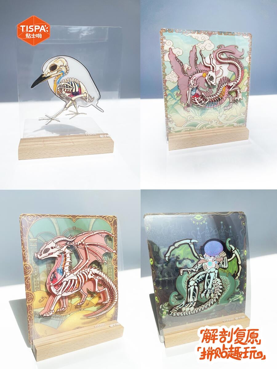 【Anatomical Restoration Series】 3D DIY Sticker - 4 Scene Stickers