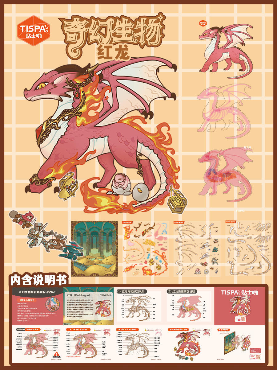 【Anatomical Restoration Series】 3D DIY Sticker - 4 Scene Stickers