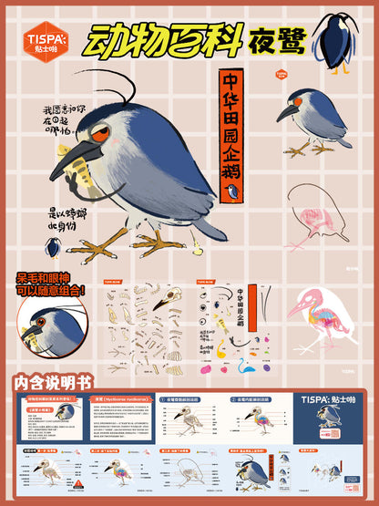 【Anatomical Restoration Series】 3D DIY Sticker - 4 Scene Stickers